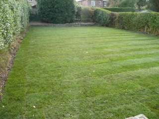 Paul Gibbons Landscapes Ltd - Garden Makeovers 21