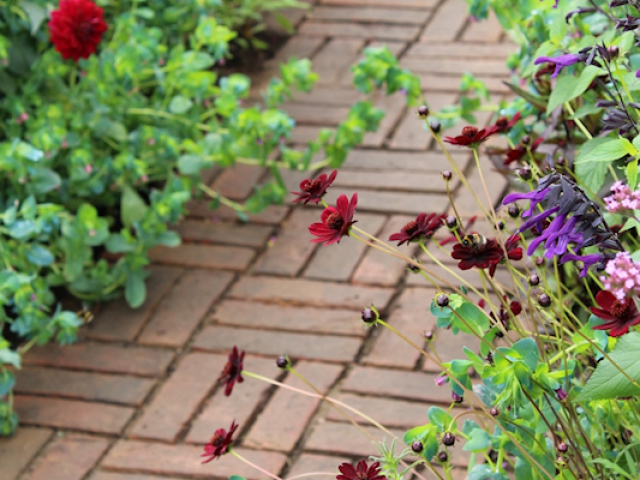 'The flowers of Arley' garden by Arley Hall gardens and Paul Gibbons Landscapes